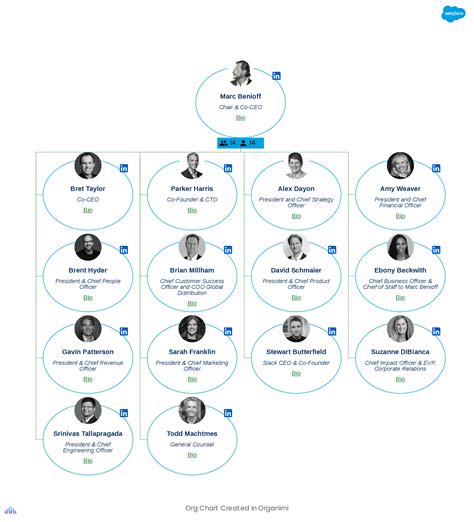 leaked salesforce org chart|Leaked Salesforce org chart shows the 13 most important。